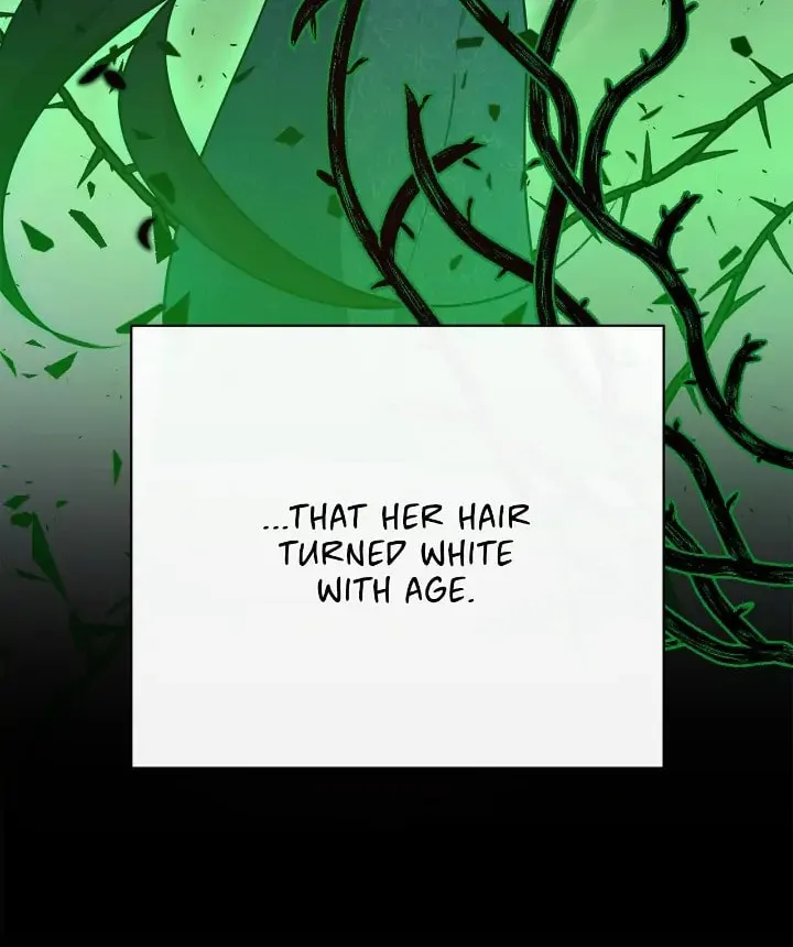When the Witch’s Daughter Lifts the Male Lead’s Curse Chapter 8 page 22 - 
