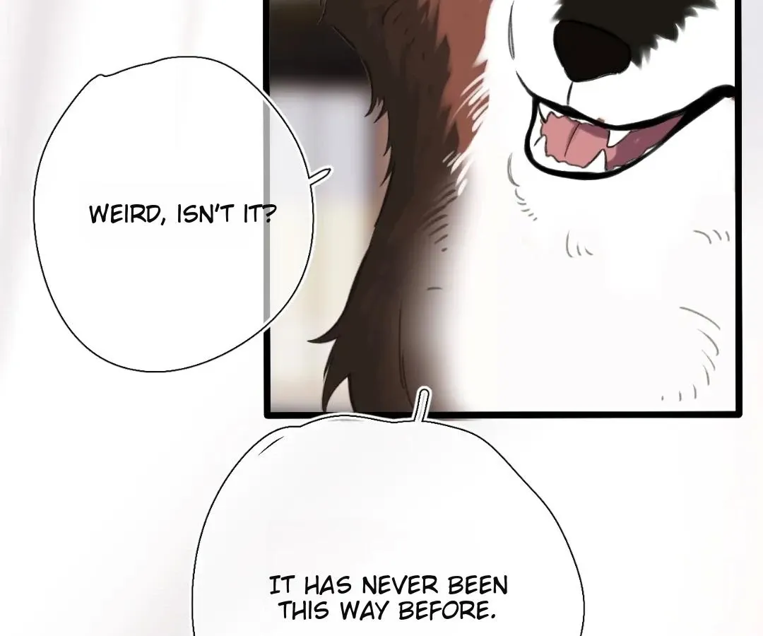 Whirlpool in Vernal Reverie Chapter 45 page 99 - 
