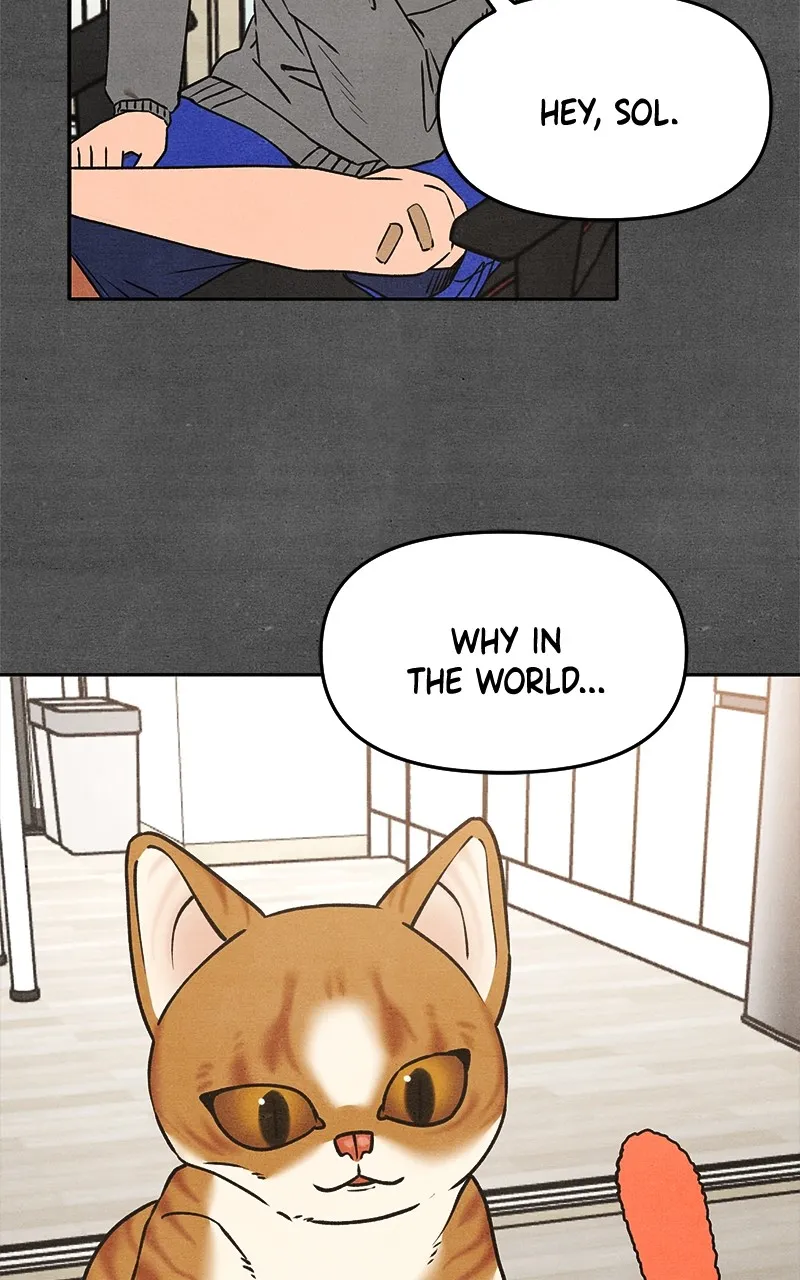 Who’s That Long-Haired Senior? Chapter 21 page 2 - 