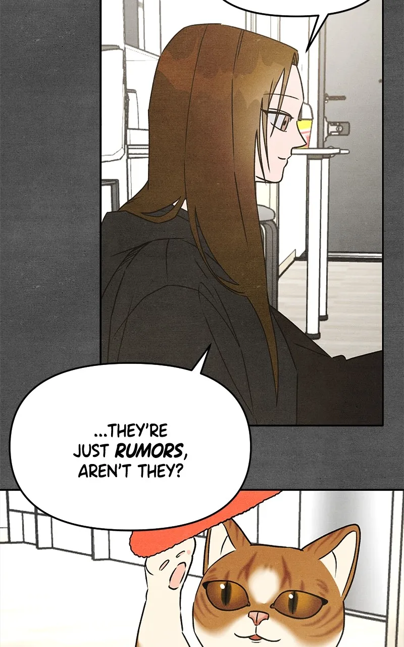 Who’s That Long-Haired Senior? Chapter 21 page 12 - 