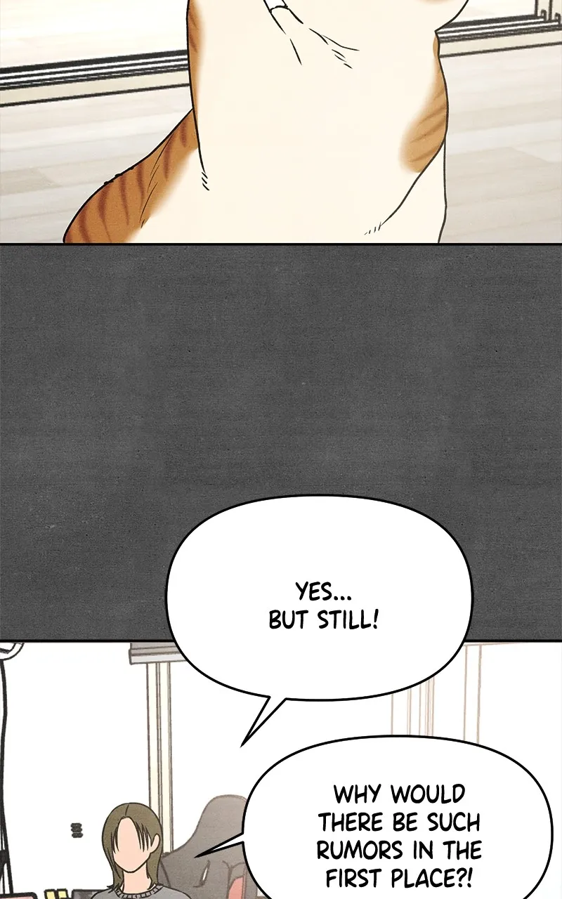 Who’s That Long-Haired Senior? Chapter 21 page 13 - 