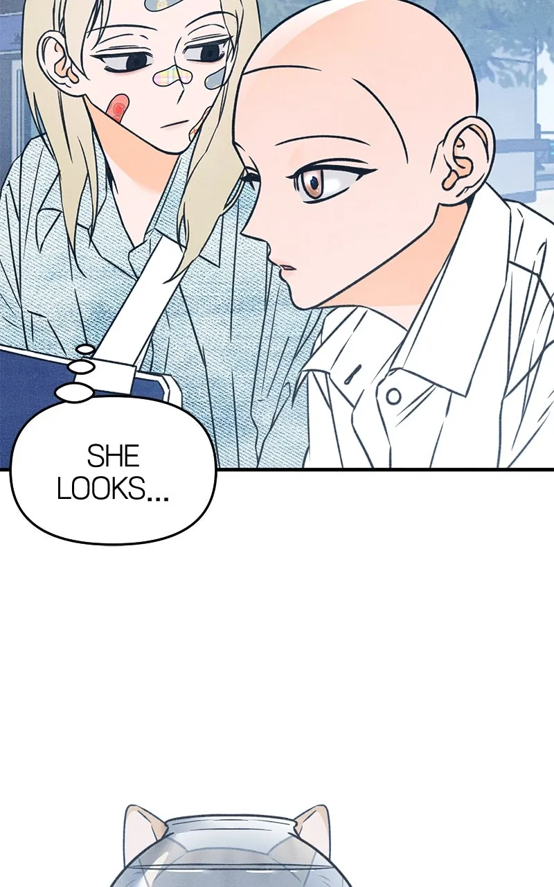 Who’s That Long-Haired Senior? Chapter 43 page 5 - 