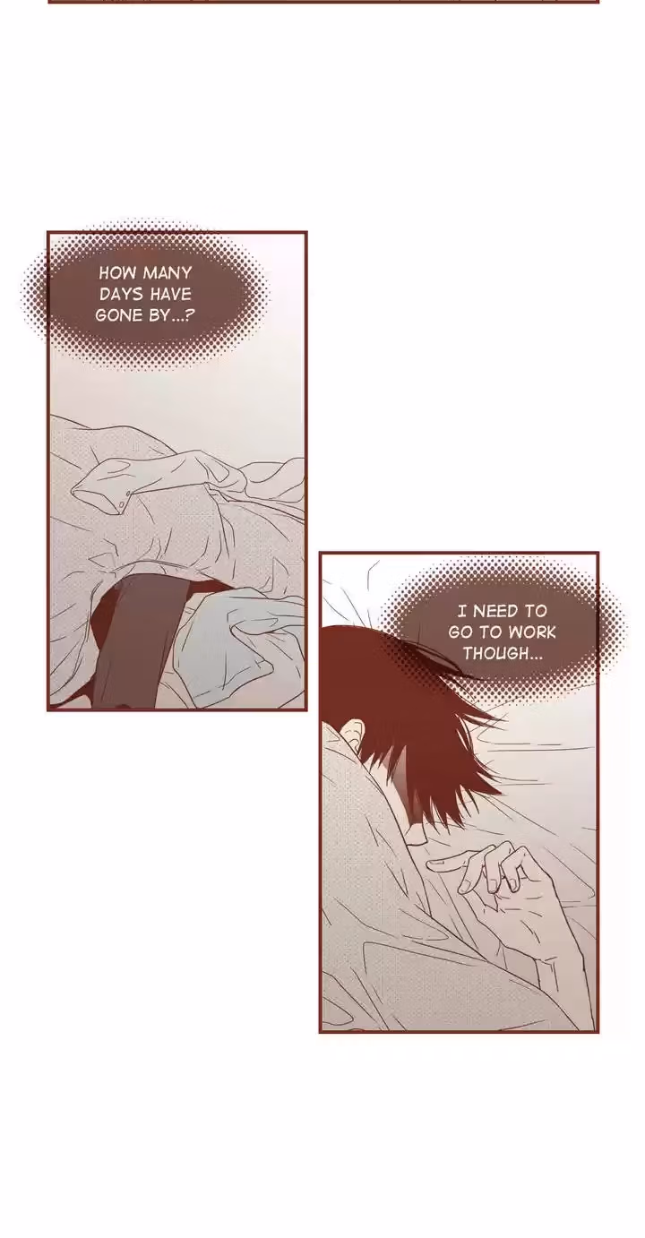 Why Did Men Stop Wearing High Heels? Chapter 52 page 18 - 