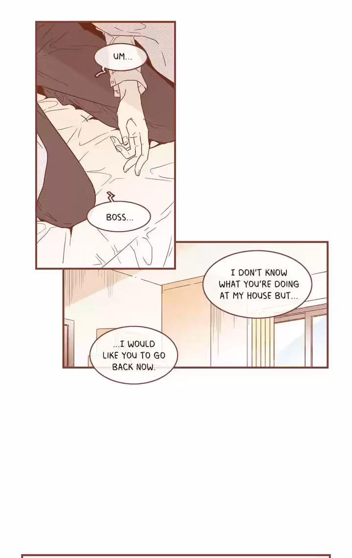Why Did Men Stop Wearing High Heels? Chapter 53 page 42 - 