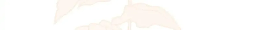 Wicked No More Chapter 49 page 8 - 