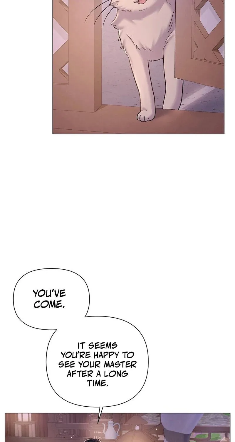Widow's Night Chapter 10 page 36 - 