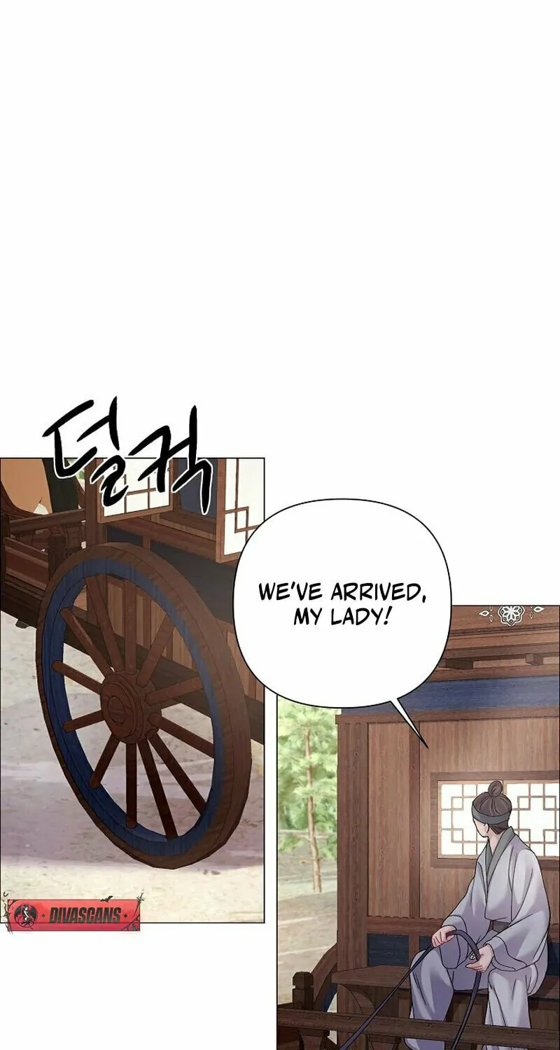 Widow's Night Chapter 11 page 26 - 