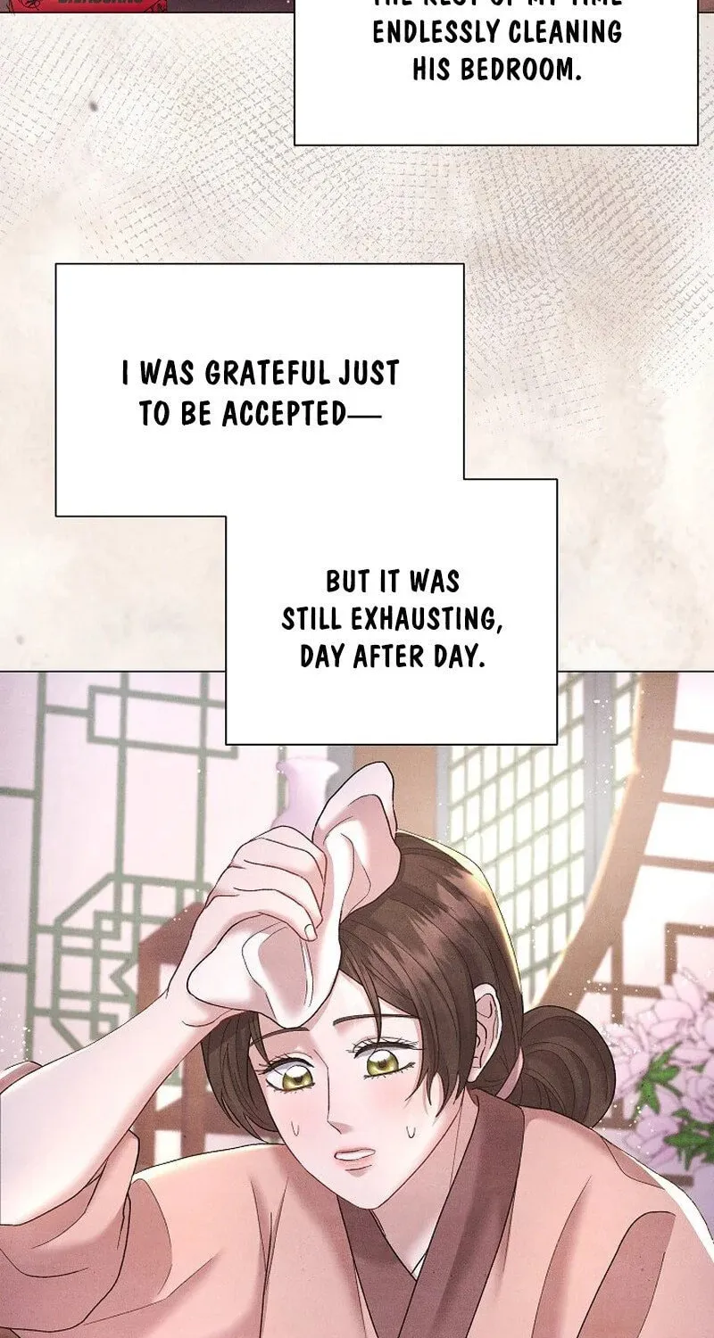 Widow's Night Chapter 5 page 7 - 