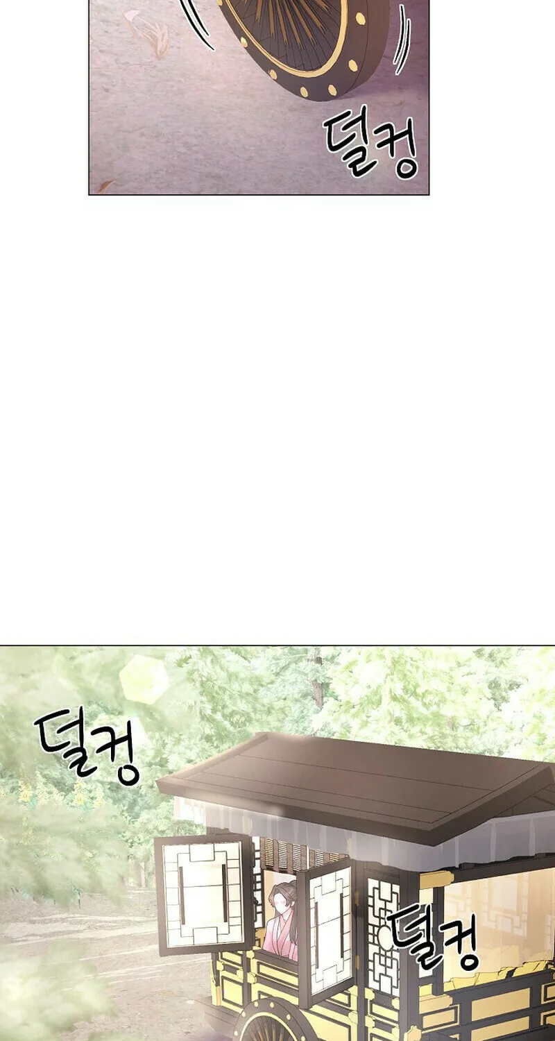 Widow's Night Chapter 8 page 43 - 