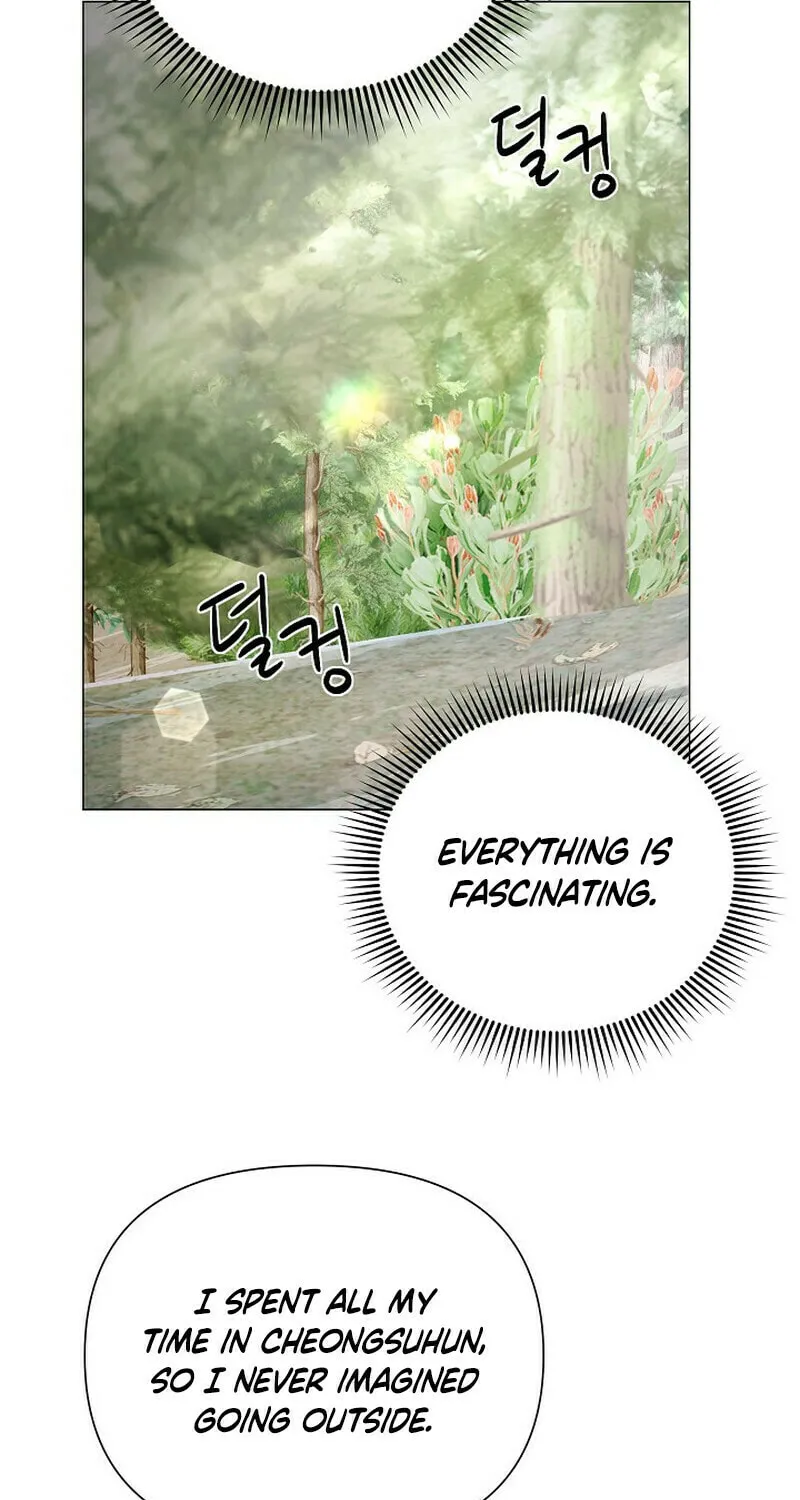 Widow's Night Chapter 8 page 47 - 