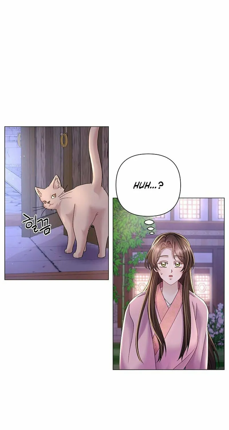 Widow's Night Chapter 9 page 67 - 