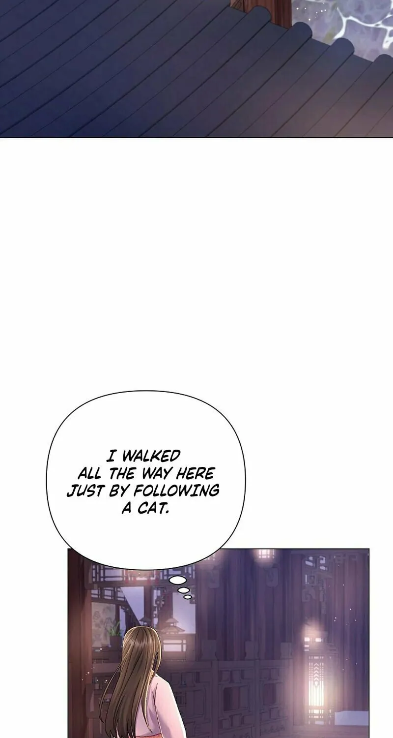 Widow's Night Chapter 9 page 73 - 