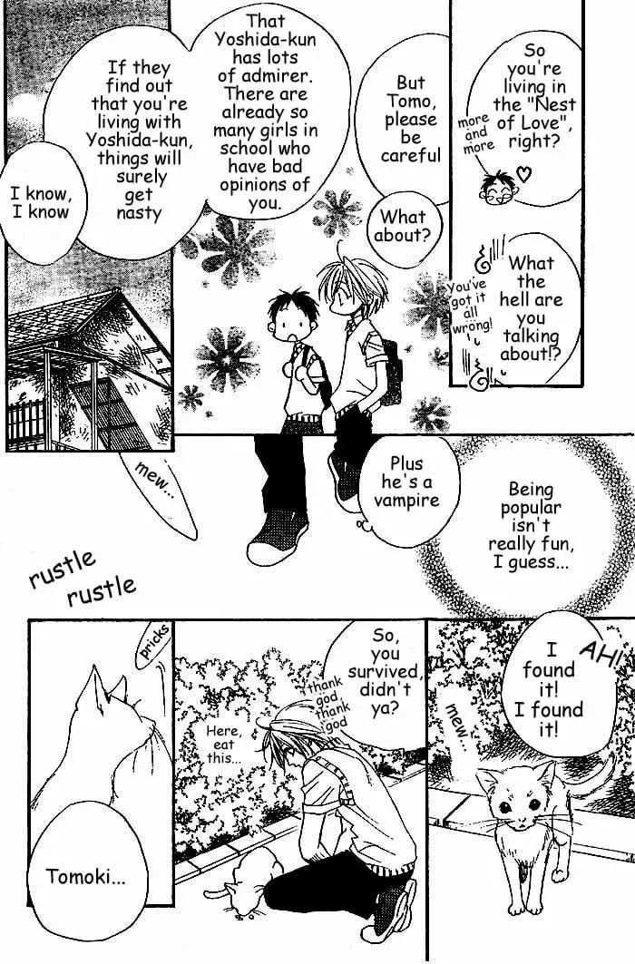 WILD KISS Chapter 1 page 37 - 