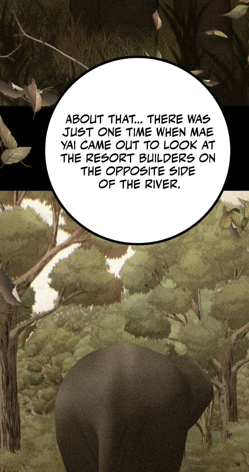 Wild Protectress Chapter 11 page 24 - 