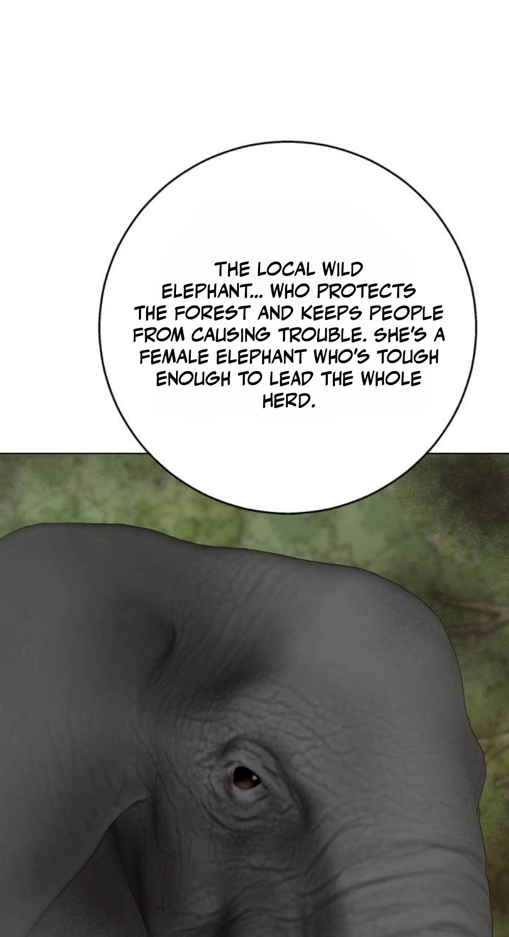 Wild Protectress Chapter 21 page 64 - 