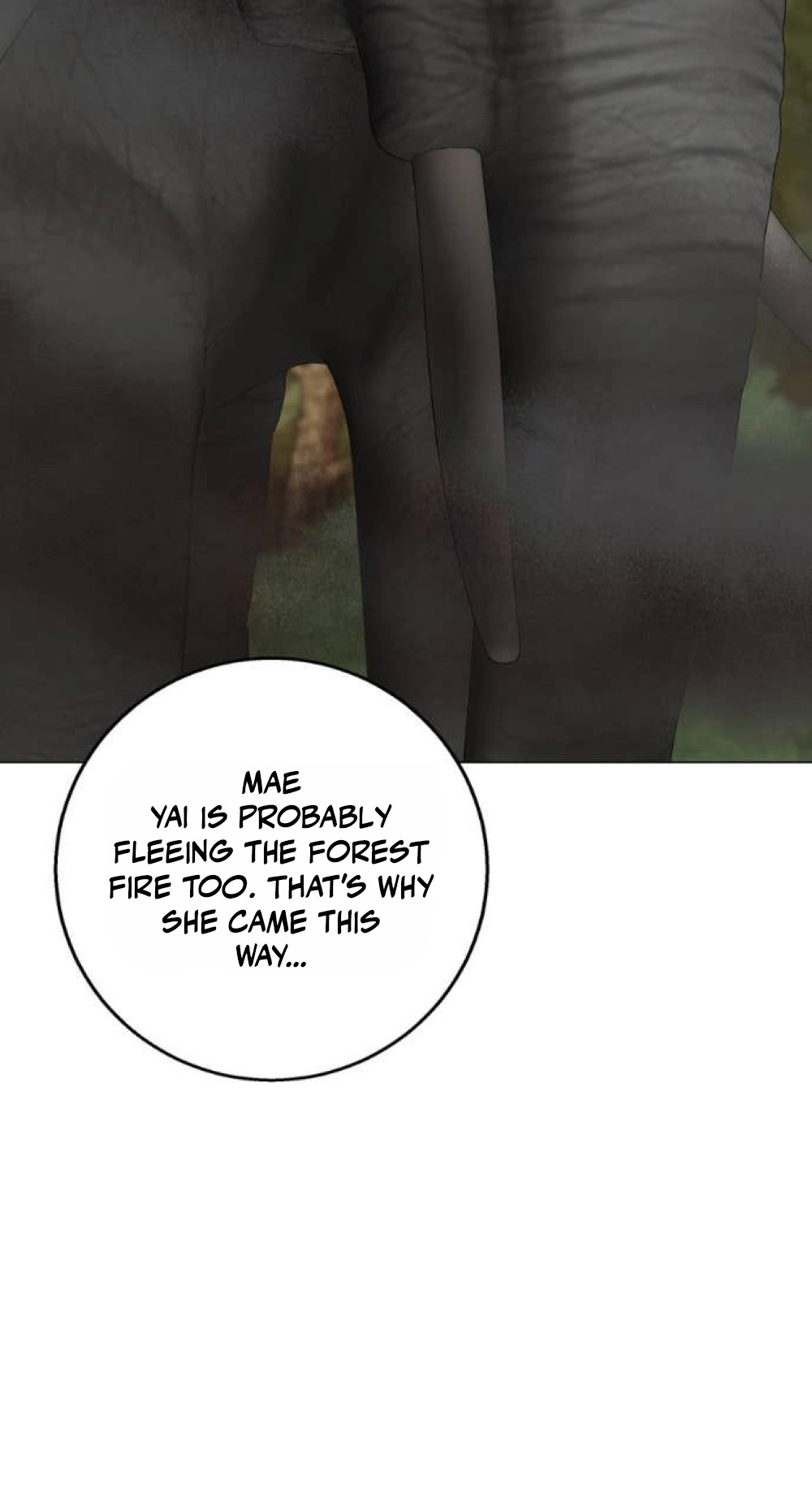 Wild Protectress Chapter 21 page 65 - 