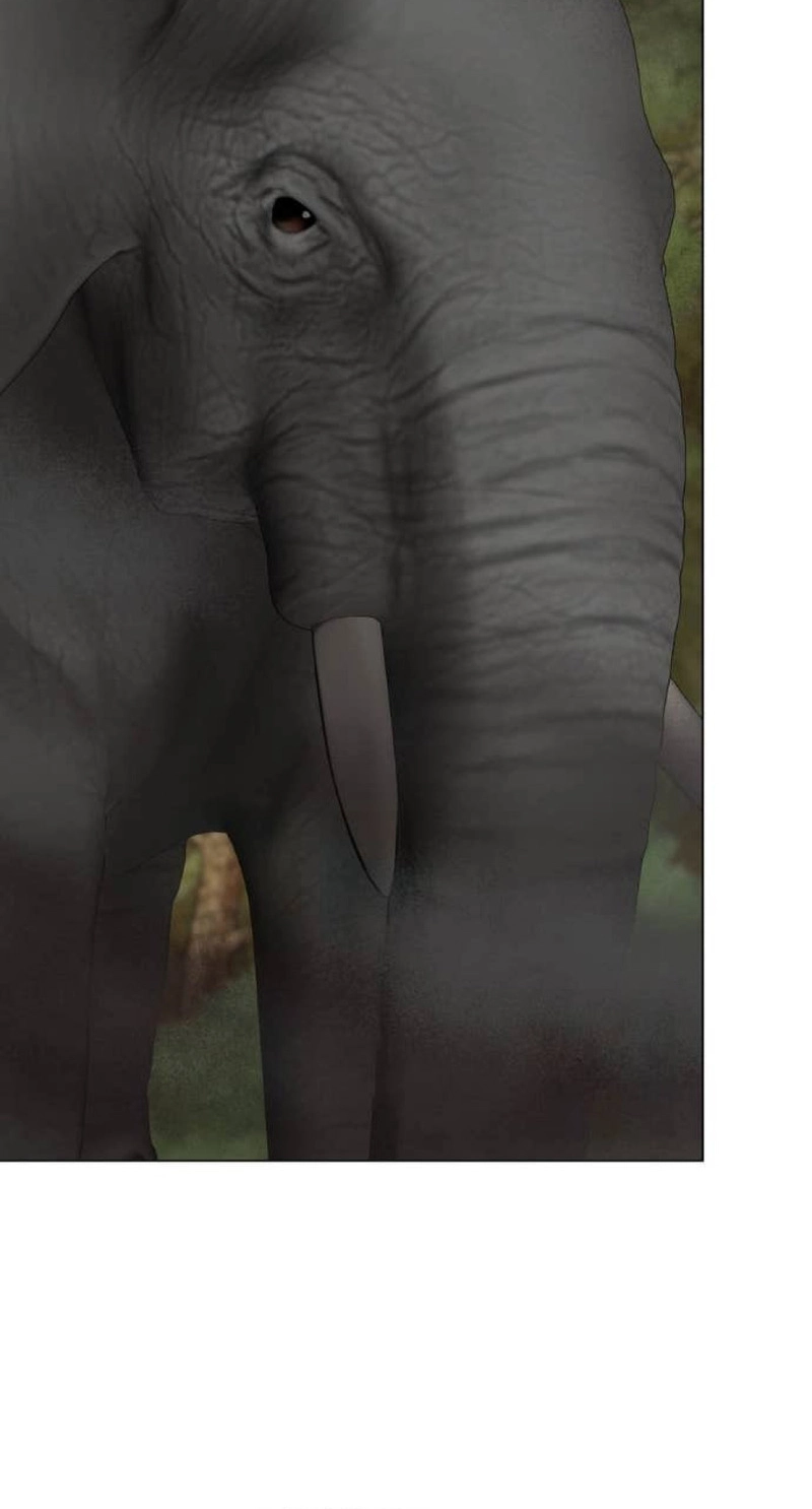 Wild Protectress Chapter 22 page 39 - 