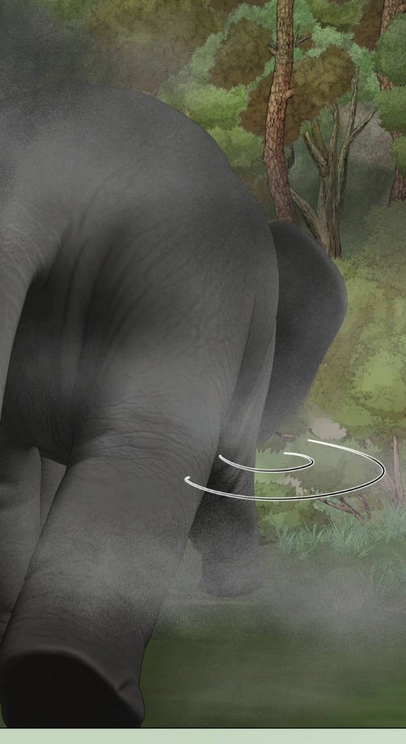 Wild Protectress Chapter 22 page 66 - 