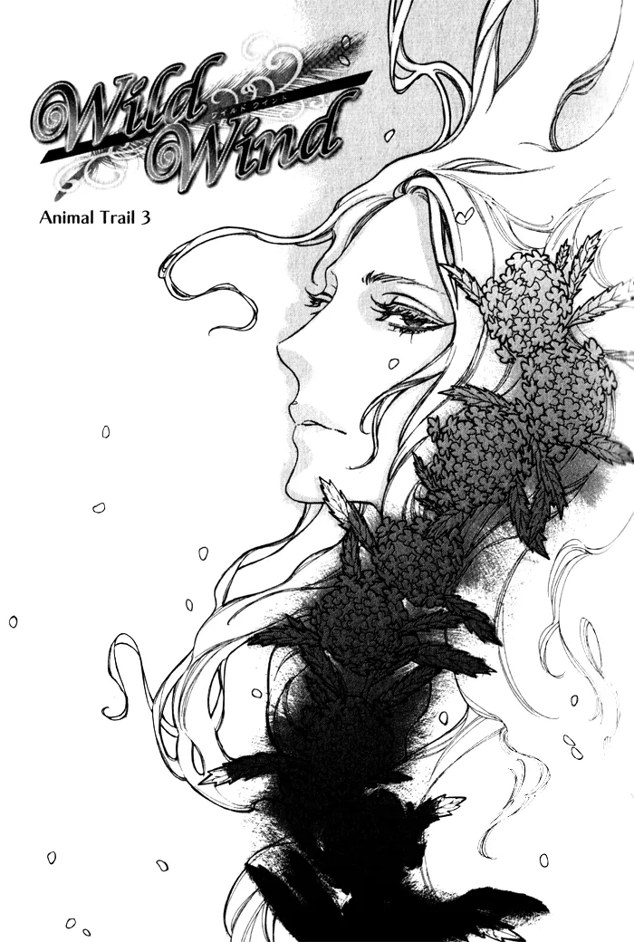 Wild Wind Chapter 3 page 1 - 