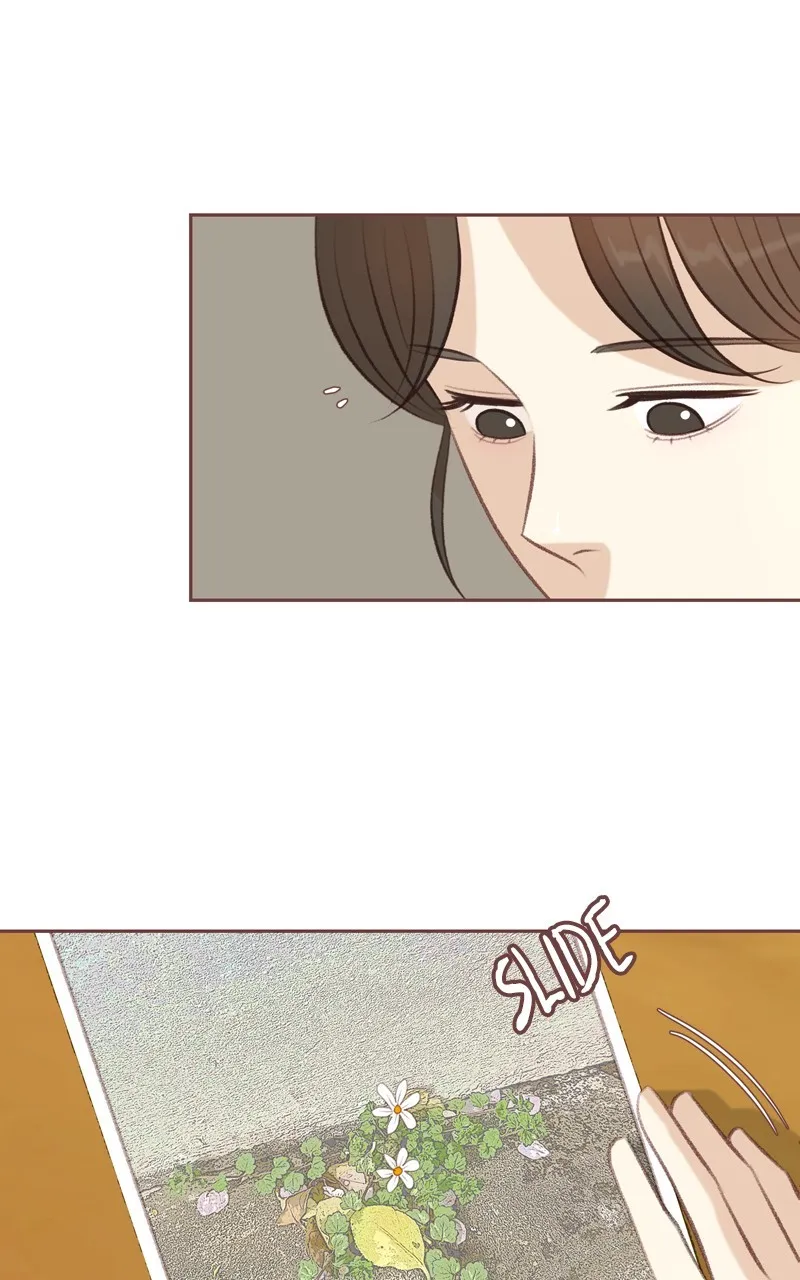 Winter Breeze Chapter 14 page 43 - 