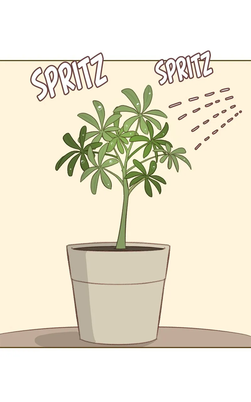 Winter Breeze Chapter 3 page 1 - 