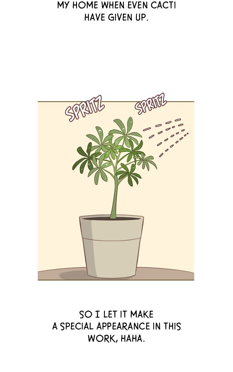 Winter Breeze Afterword page 19 - 