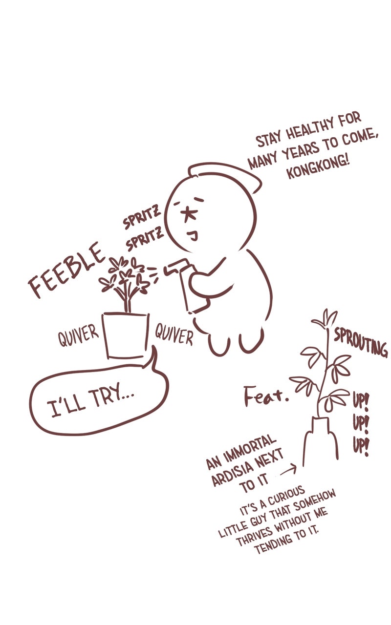 Winter Breeze Afterword page 20 - 