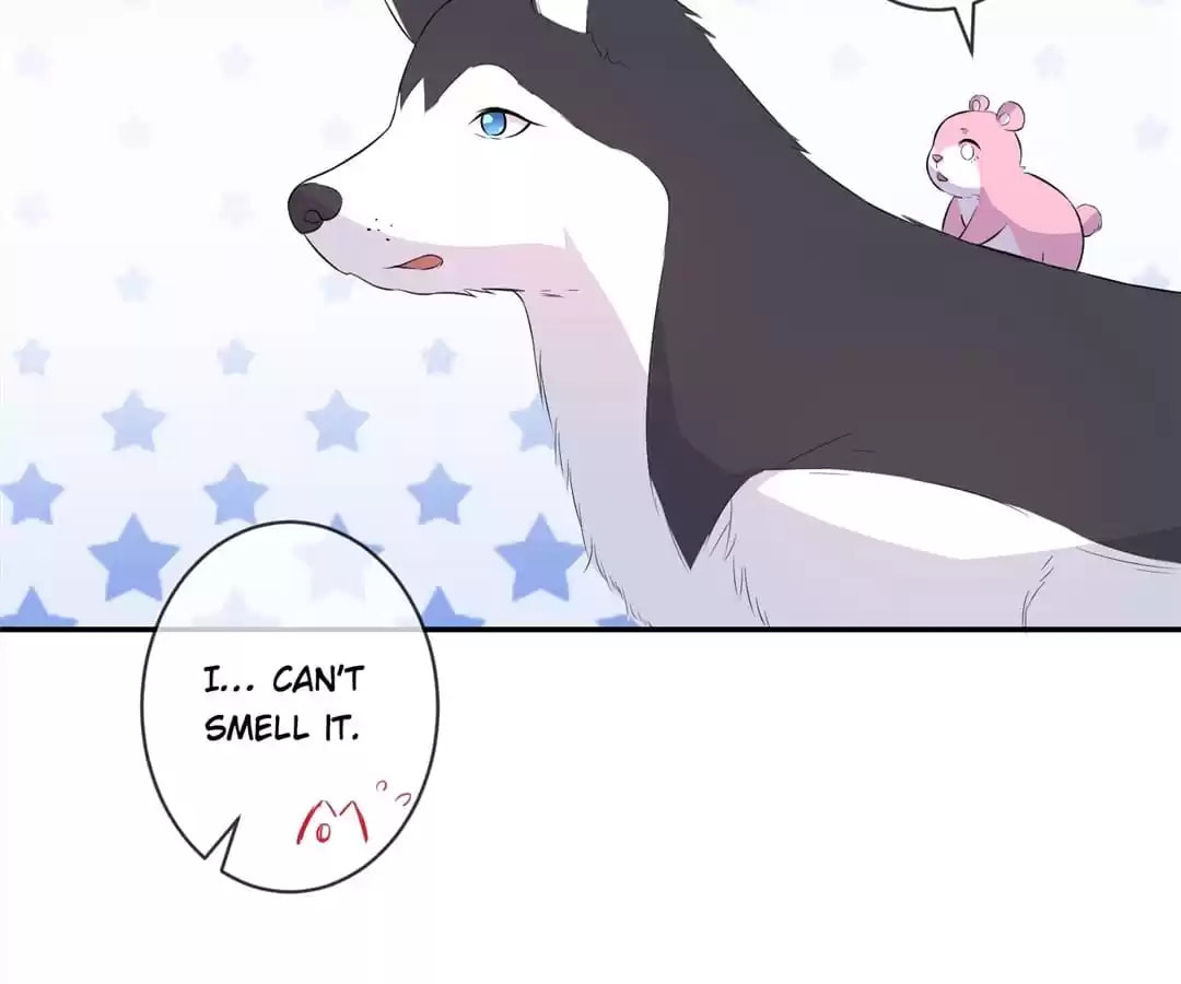 Witch's Husky Husband Chapter 39 page 101 - 