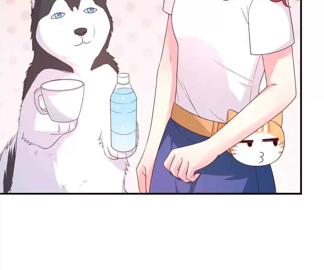 Witch's Husky Husband Chapter 39 page 21 - 