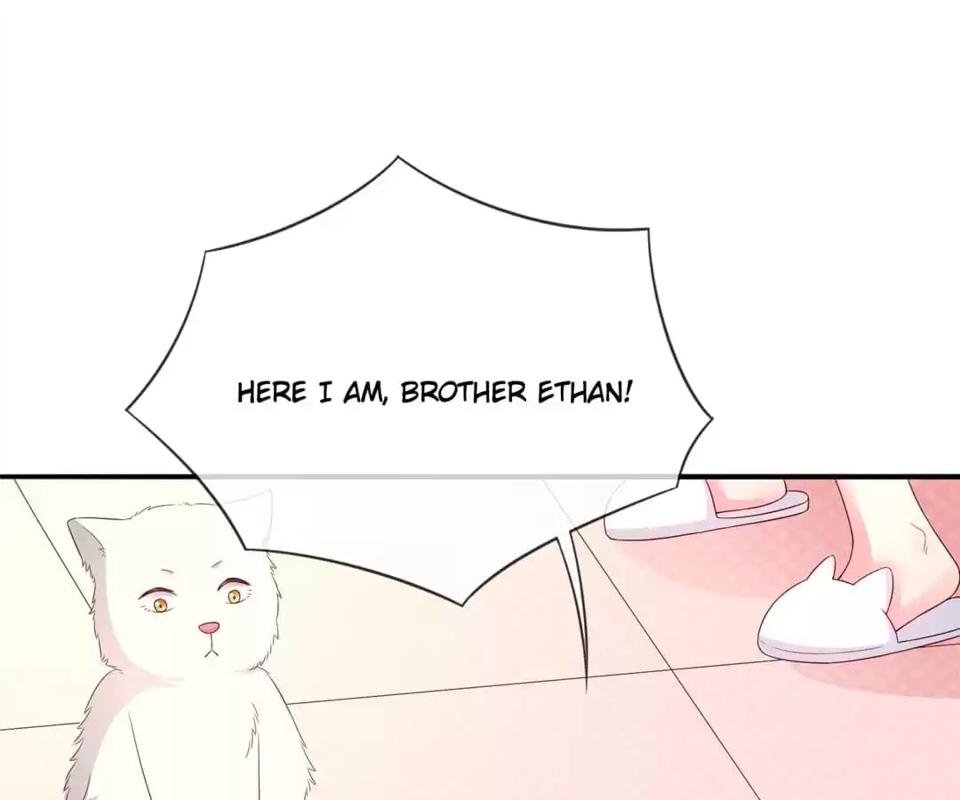 Witch's Husky Husband Chapter 39 page 29 - 