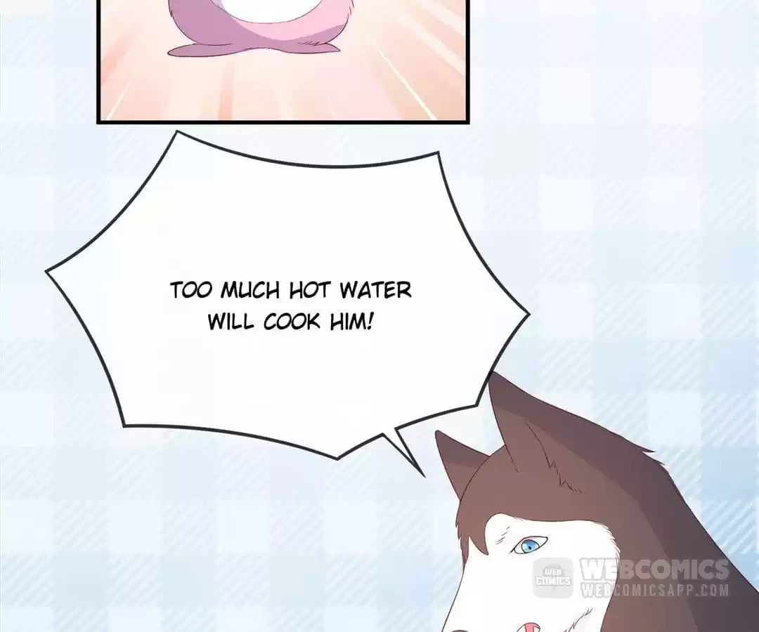 Witch's Husky Husband Chapter 39 page 34 - 