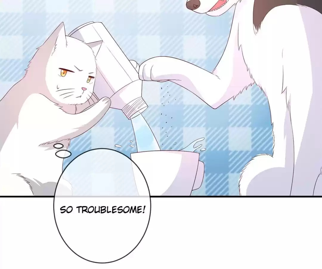 Witch's Husky Husband Chapter 39 page 35 - 