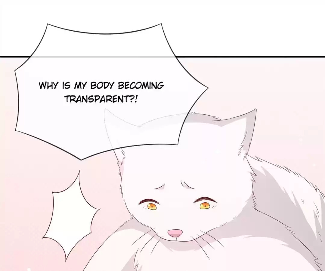 Witch's Husky Husband Chapter 39 page 41 - 