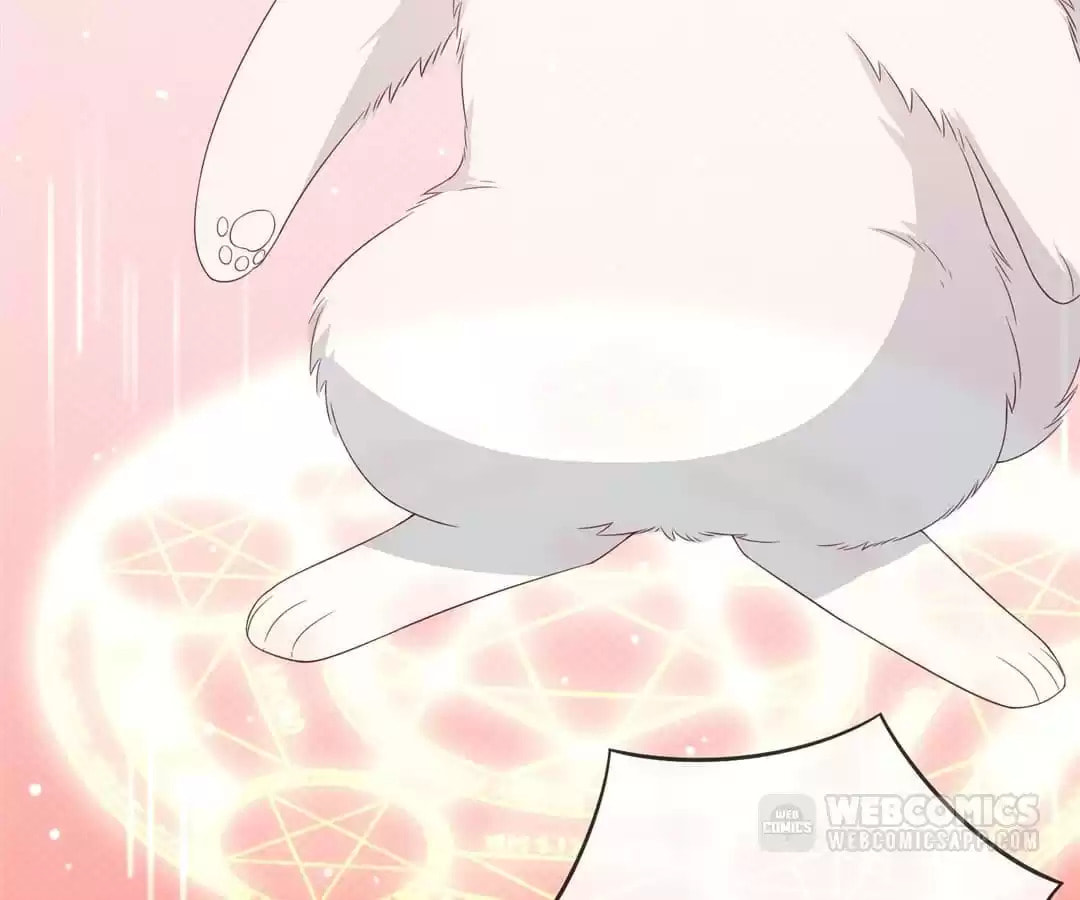 Witch's Husky Husband Chapter 39 page 42 - 