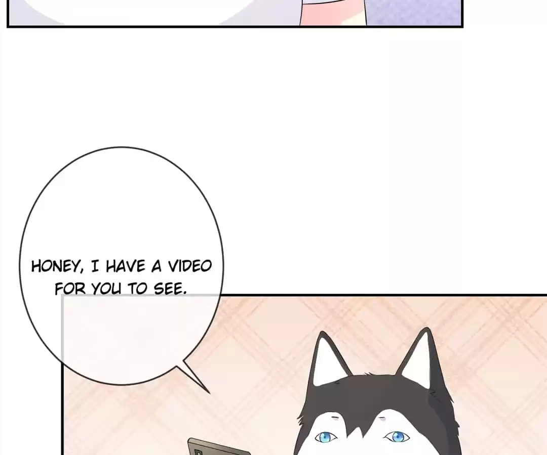 Witch's Husky Husband Chapter 39 page 63 - 