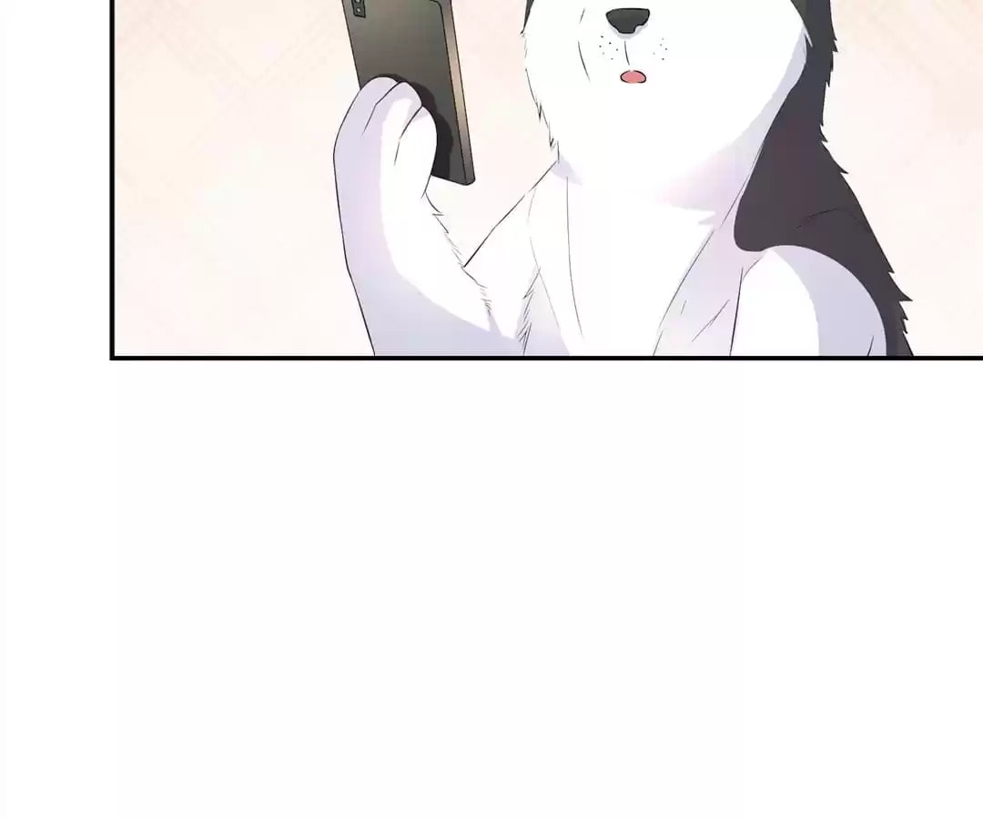 Witch's Husky Husband Chapter 39 page 64 - 