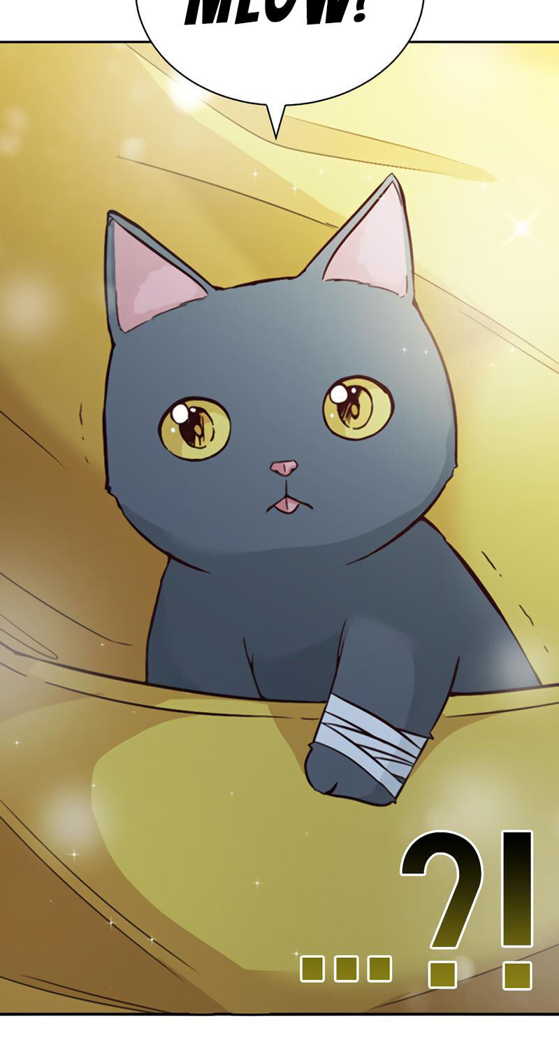 Witch’s Judgment Is to Be Turned Into a Flower Chapter 28 page 19 - 