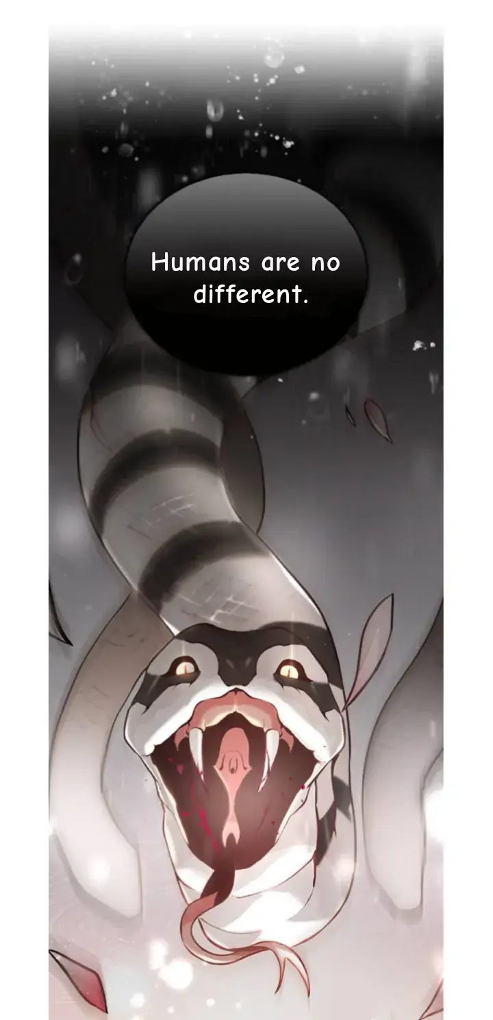 Witch’s Judgment Is to Be Turned Into a Flower Chapter 5 page 17 - 