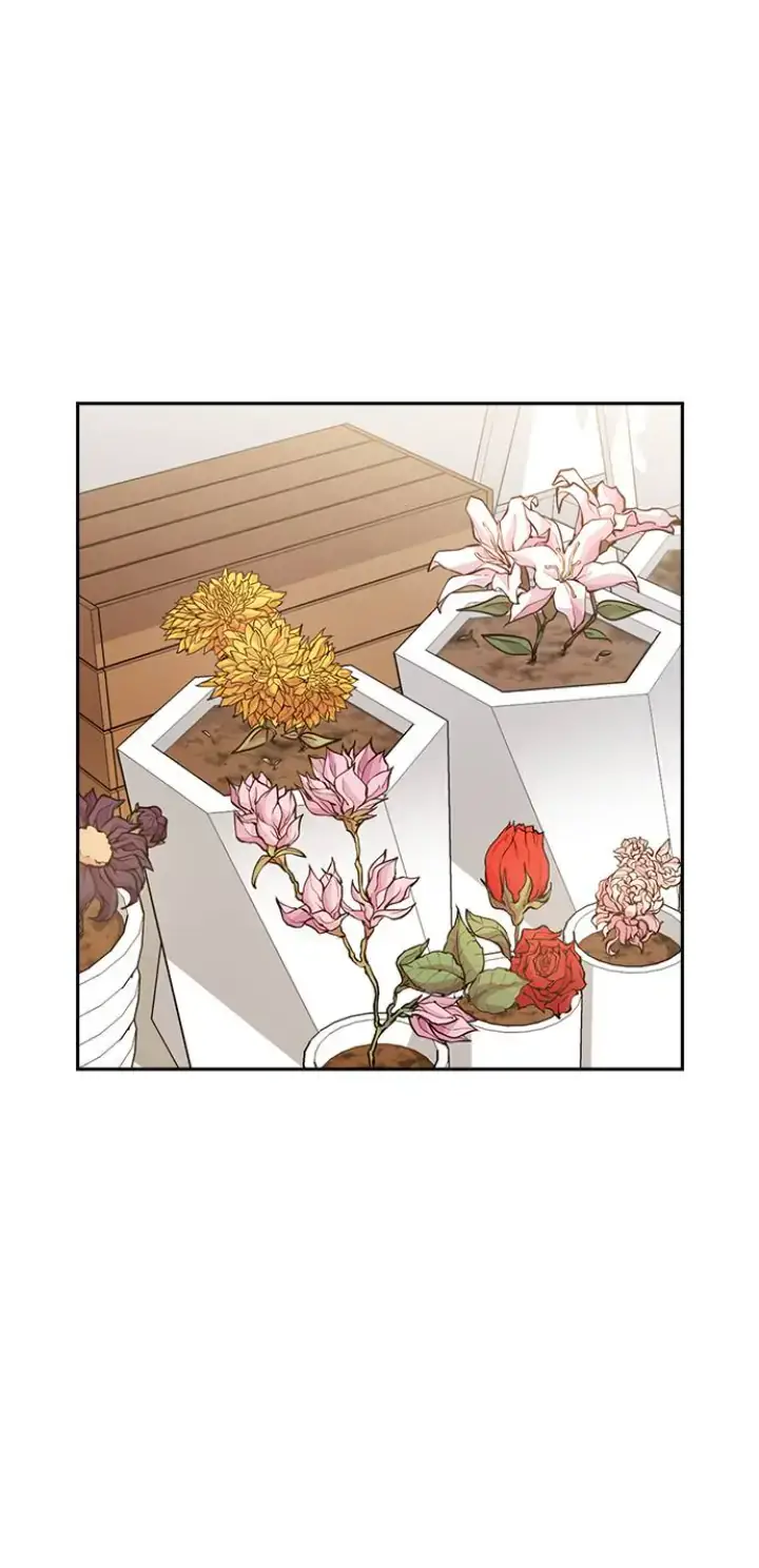 Witch’s Judgment Is to Be Turned Into a Flower Chapter 8 page 45 - 