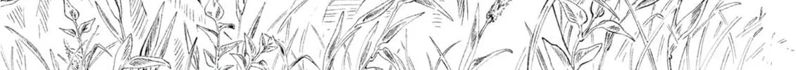 With Open Arms Chapter 0 page 28 - 
