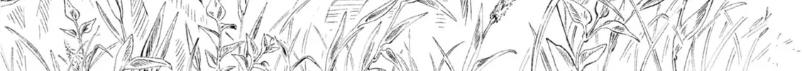 With Open Arms Chapter 1 page 28 - 