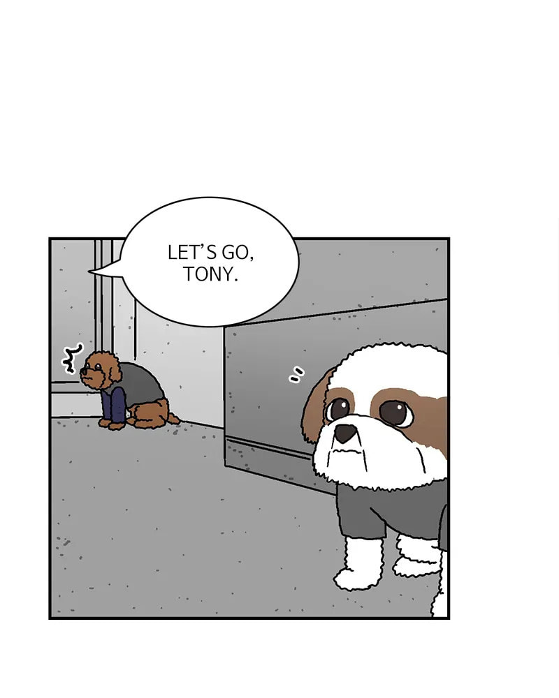 With Tony Chapter 50 page 12 - 