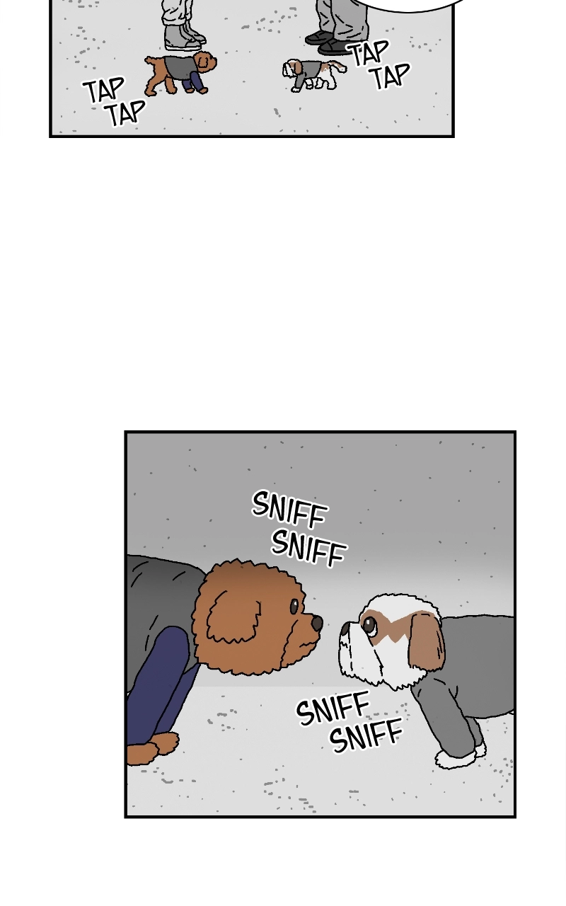 With Tony Chapter 52 page 50 - 
