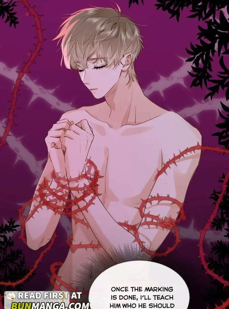 Wo Xi Huan Ni De Xin Xi Su Chapter 48 page 5 - 