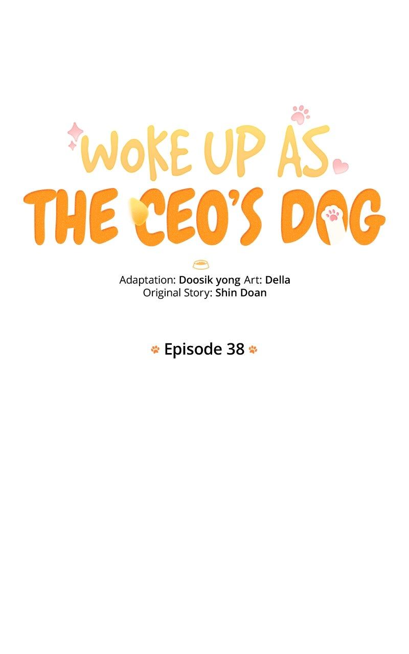 Woke Up as the CEO's Dog Chapter 38 page 26 - 