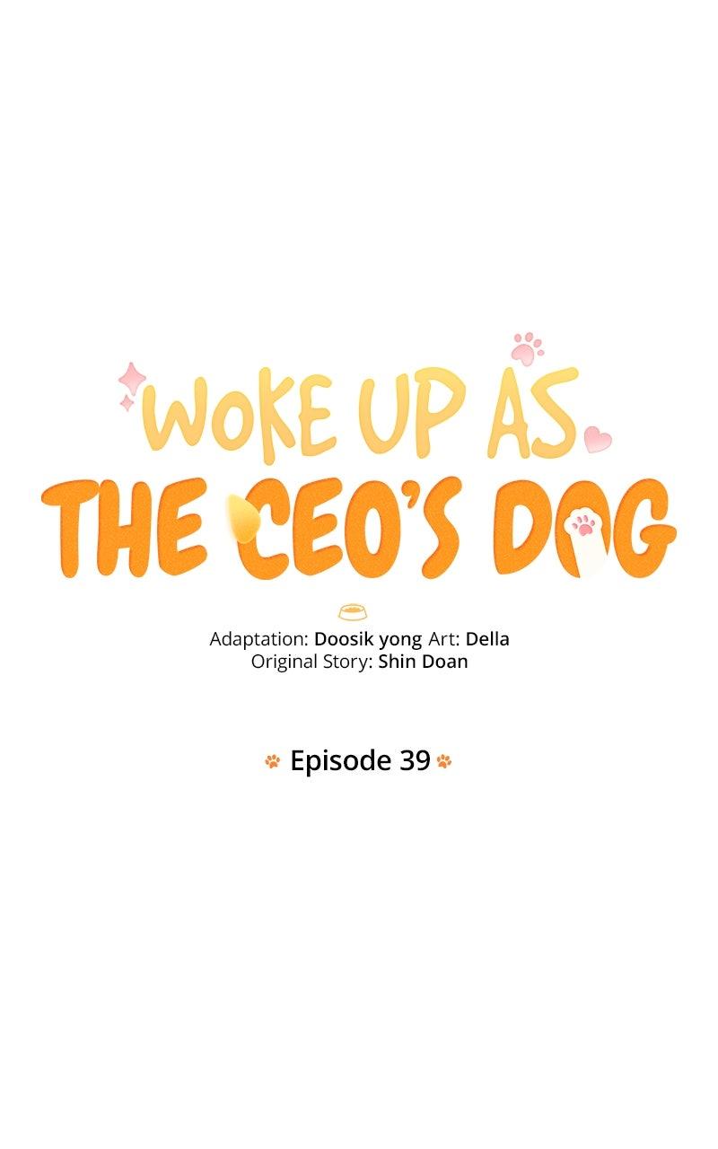 Woke Up as the CEO's Dog Chapter 39 page 25 - 