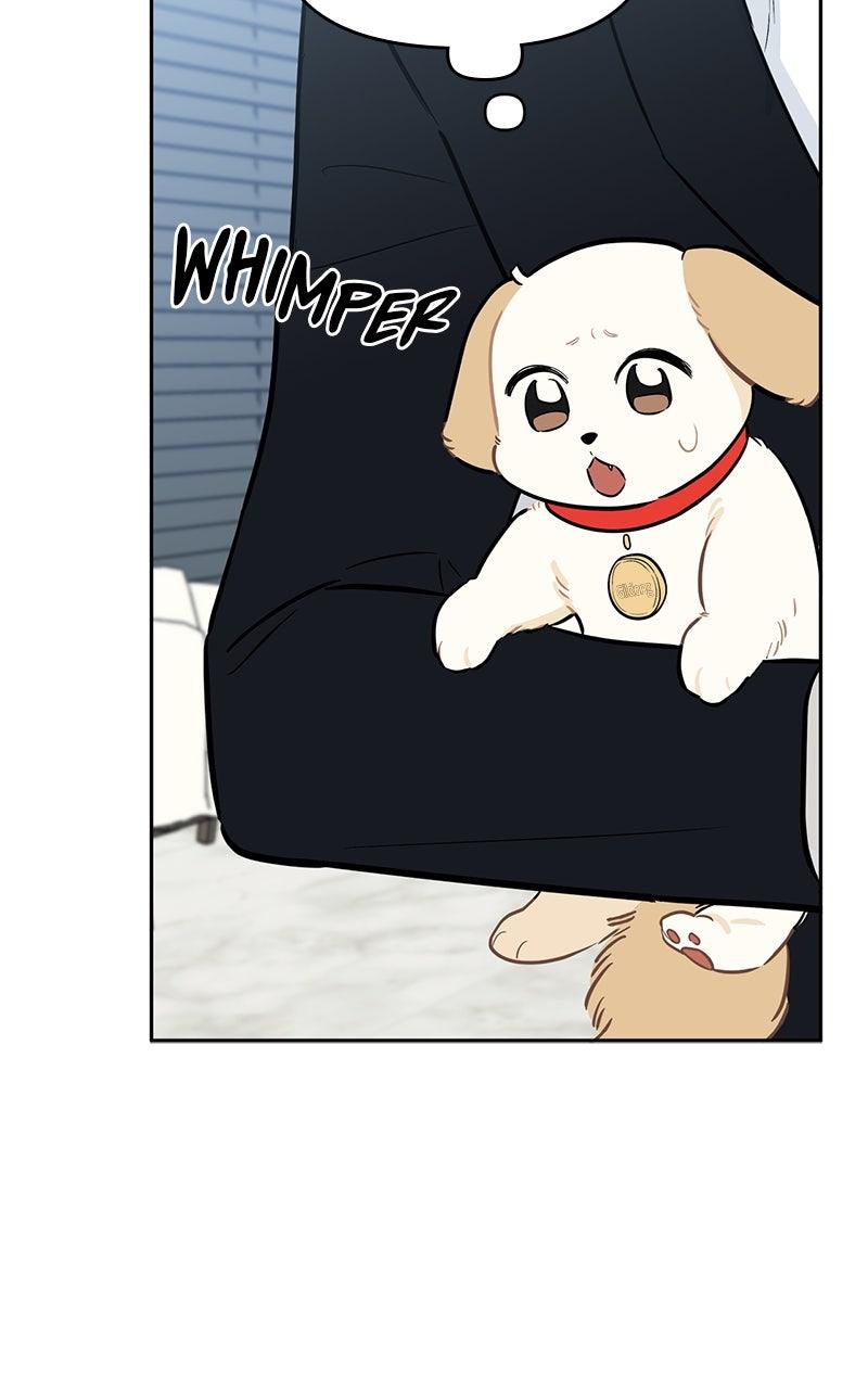 Woke Up as the CEO's Dog Chapter 44 page 34 - 