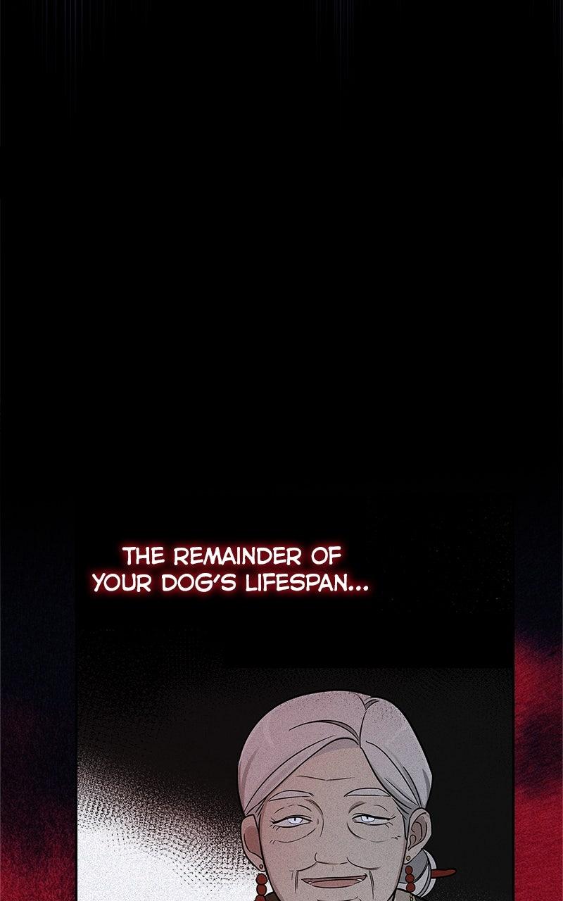 Woke Up as the CEO's Dog Chapter 44 page 78 - 