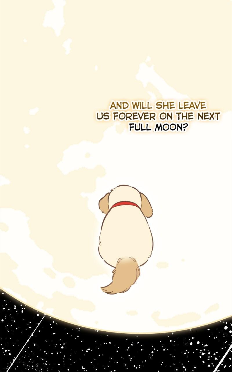 Woke Up as the CEO's Dog Chapter 44 page 94 - 