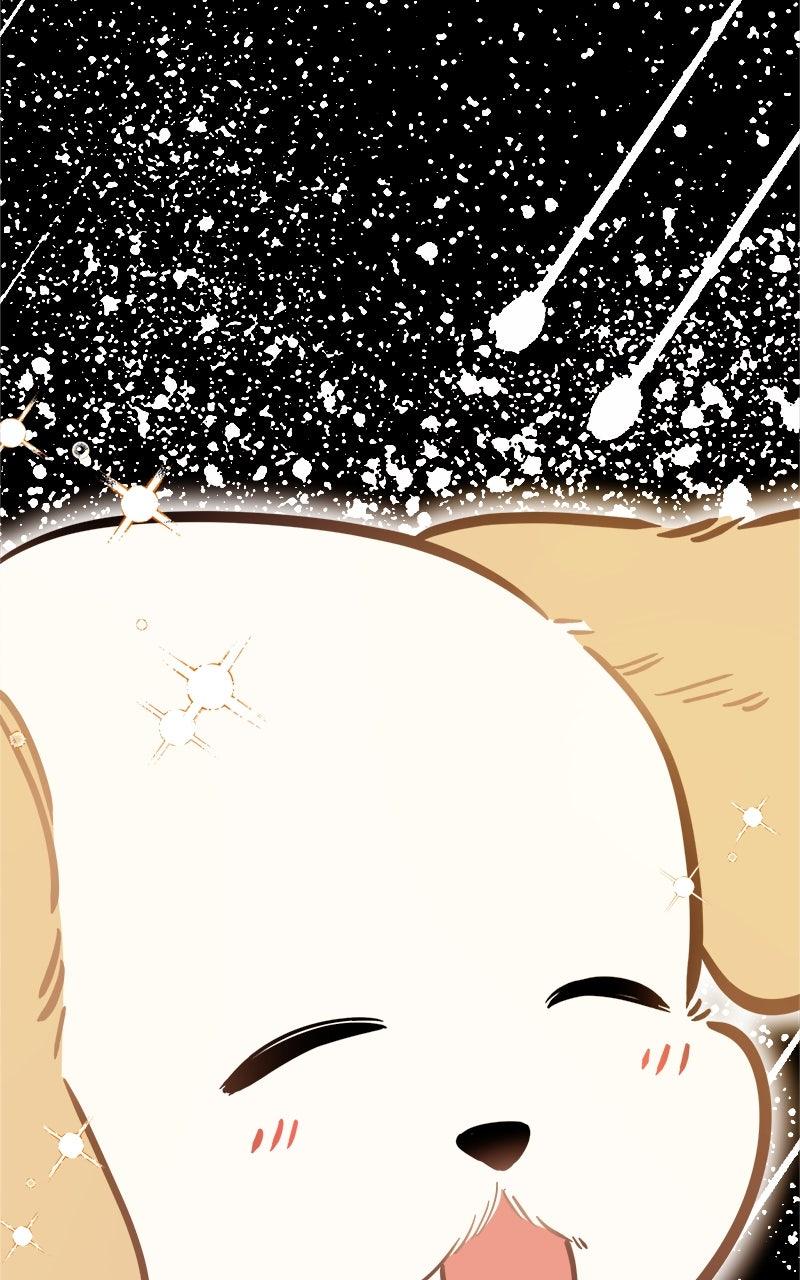 Woke Up as the CEO's Dog Chapter 44 page 95 - 